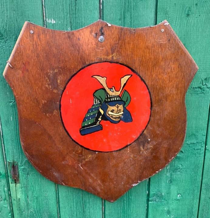wooden shield on green wooden wall. Shield has red circle on r with green and blue samurai helmet