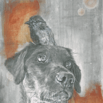Graphite drawing of a black labrador with a bird stood on his head.