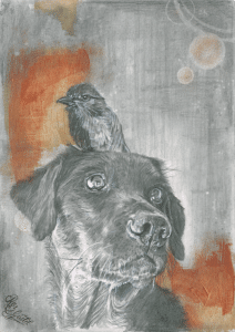 Graphite drawing of a black labrador with a bird stood on his head.